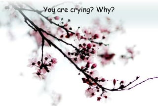 You are crying? Why?
 