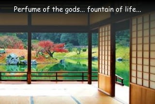 Perfume of the gods... fountain of life...
 