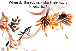 When do the robins make their nests
in America?
 