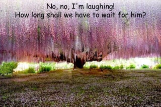No, no, I'm laughing!
How long shall we have to wait for him?
 