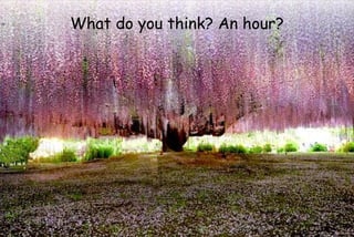 What do you think? An hour?
 