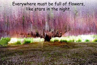 Everywhere must be full of flowers,
like stars in the night.
 