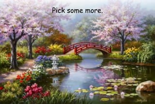 30
bbbbPick some more.
 