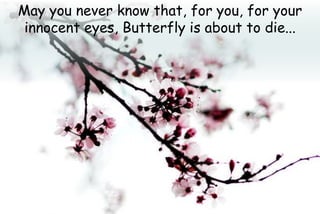 May you never know that, for you, for your
innocent eyes, Butterfly is about to die...
 