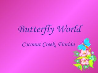 Butterfly World Coconut Creek, Florida 