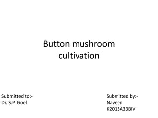 Button mushroom
cultivation
Submitted to:-
Dr. S.P. Goel
Submitted by:-
Naveen
K2013A33BIV
 