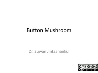 Button Mushroom
Dr. Suwan Jintaanankul
 