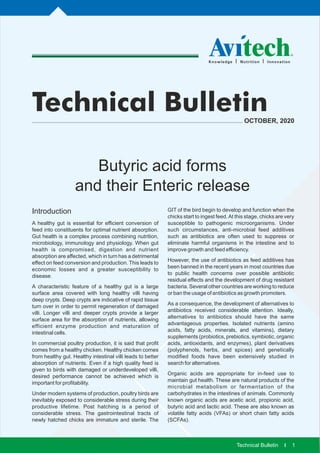 Butyric acid-forms-and-their-enteric-release