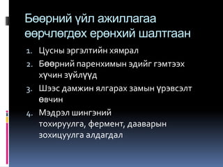 Buurnii lekts13pptx | PPT