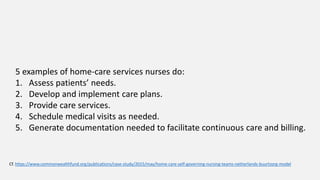 5 examples of home-care services nurses do:
1. Assess patients’ needs.
2. Develop and implement care plans.
3. Provide care services.
4. Schedule medical visits as needed.
5. Generate documentation needed to facilitate continuous care and billing.
Cf. https://www.commonwealthfund.org/publications/case-study/2015/may/home-care-self-governing-nursing-teams-netherlands-buurtzorg-model
 