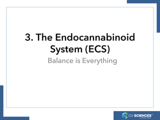 3. The Endocannabinoid
System (ECS)
Balance is Everything
 