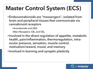 Master Control System (ECS)
•Endocannabinoids are “messengers”, isolated from
brain and peripheral tissues that communicat...