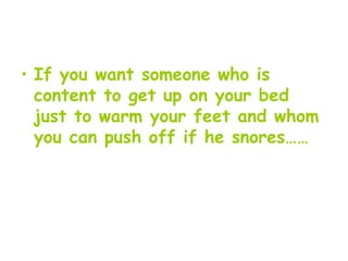 If you want someone who is content to get up on your bed just to warm your feet and whom you can push off if he snores…… 
