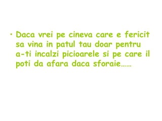 Daca vrei pe cineva care e fericit sa vina in patul tau doar pentru a-ti incalzi picioarele si pe care il poti da afara daca sforaie…… 