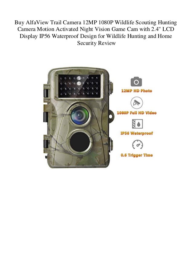 wildlife video camera motion sensor