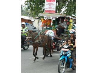 Buya sabe (sarung ibuku)