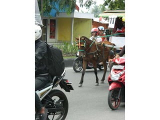 Buya sabe (sarung ibuku)