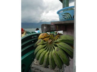 Buya sabe (sarung ibuku)