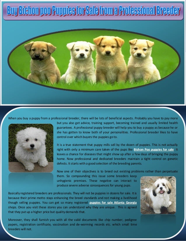 buy sell puppies