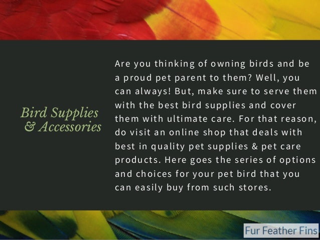 bird supplies online