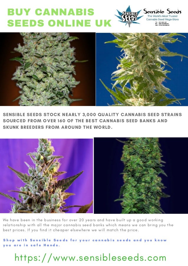 Buy Cannabis Seeds Online Uk