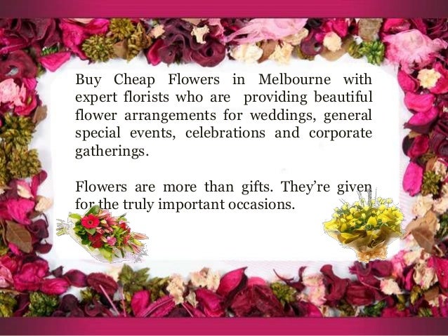 Buy Cheap Flowers In Melbourne
