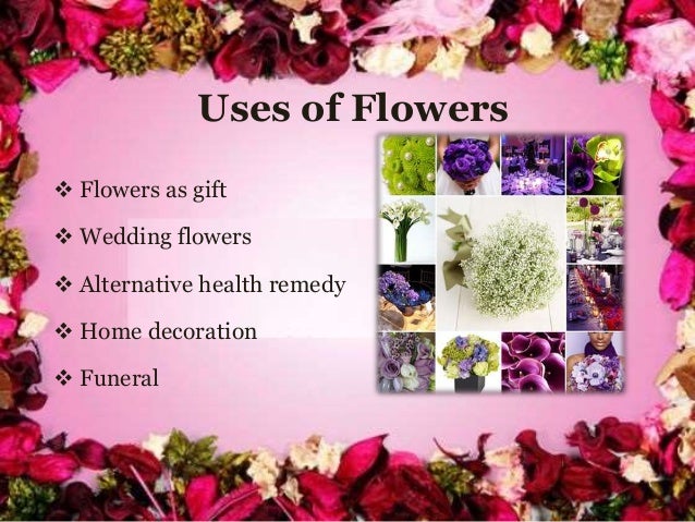 Home Gate Decoration With Flowers Home Gate Decoration With Flowers