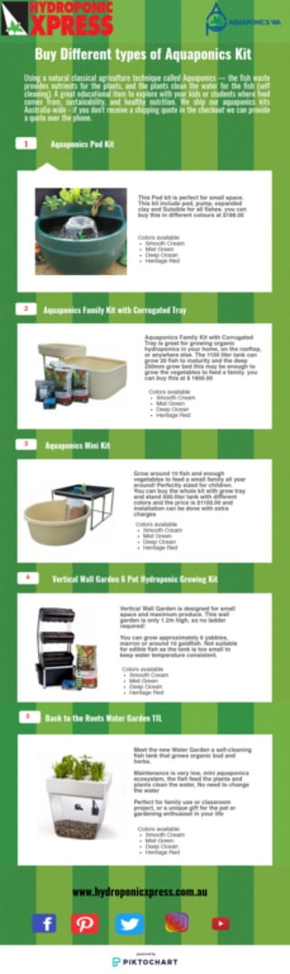 Buy different types of aquaponics kit