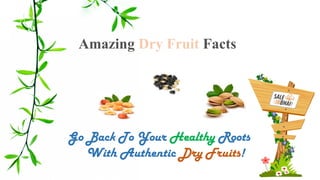 Amazing Dry Fruit Facts
Go Back To Your Healthy Roots
With Authentic Dry Fruits!
 