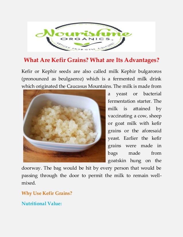 Buy Fresh Kefir Grains Australia