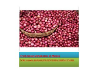 Fresh Onion Distributors in Mexico
https://www.pampastore.com/onion-supplier-mexico
 