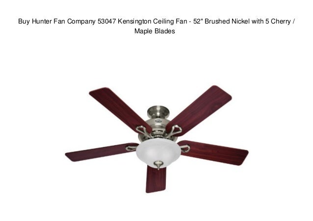 Buy Hunter Fan Company 53047 Kensington Ceiling Fan 52 Brushed Nic