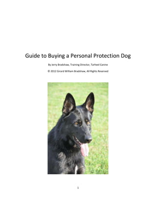 Guide to Buying a Personal Protection Dog
By Jerry Bradshaw, Training Director, Tarheel Canine
© 2012 Girard William Bradshaw, All Rights Reserved

1

 