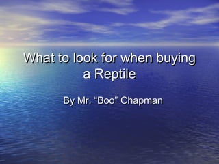 What to look for when buying
          a Reptile
      By Mr. “Boo” Chapman
 