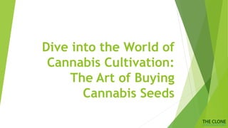 Dive into the World of
Cannabis Cultivation:
The Art of Buying
Cannabis Seeds
 