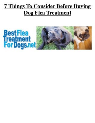 7 Things To Consider Before Buying
Dog Flea Treatment
 
