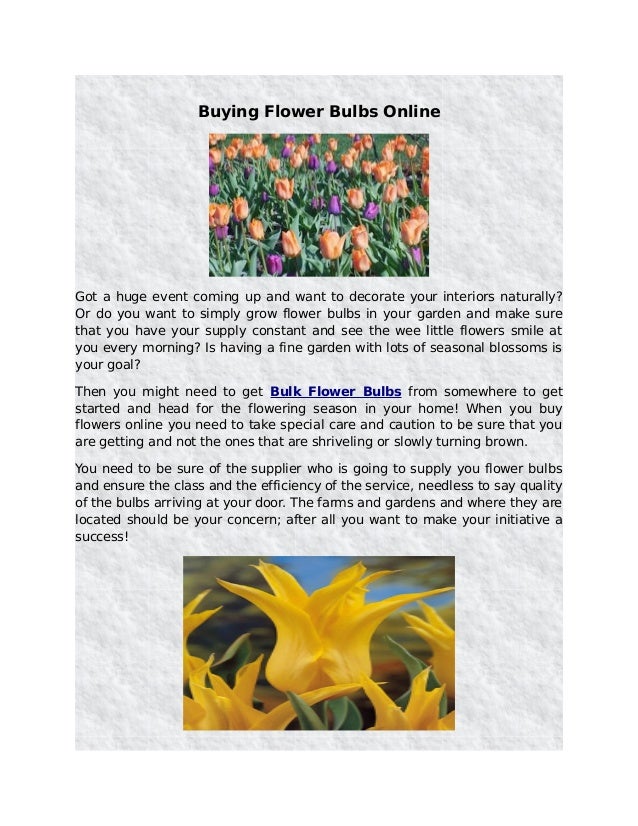 Buying flower bulbs online