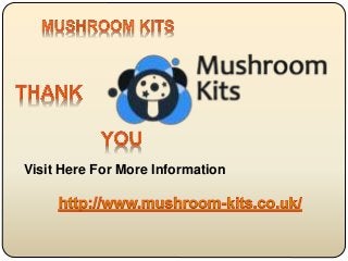 Visit Here For More Information
 