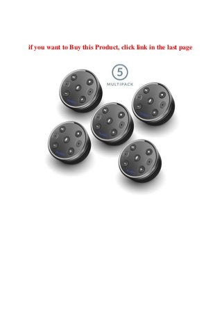 majority alexa speaker