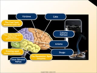Copyright © Martin Lindstrom 2010
Hippocampus
Amygdala/
Orbitofrontal cortex
Anterior Cingulate
Parietal lobe
Frontal lobe
Ventrolateral
frontal cortex
Uzun Dönemli
Hafıza
Çaba
Dikkat
Çalışma
Hafızası
Yürütme
Duygu
The Cool Spot
(Broadmann Alanı 10)
The collecting spot
(Right Mesial
prefrontal Cortex)
Amygdala/
Orbitofrontal cortexKorku
Craving spot
(Nucleus Accumbens)
Temporal lobeAnlama
The Recession Spot
(Amygdala)
 