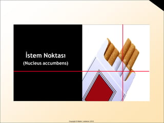 Copyright © Martin Lindstrom 2010
İstem Noktası
(Nucleus accumbens)
 