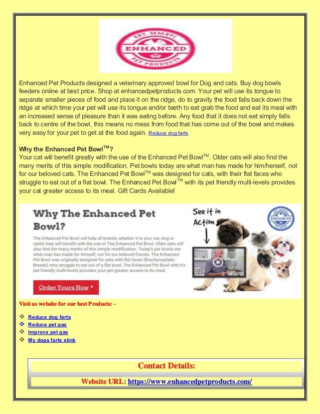 best price dog food online
