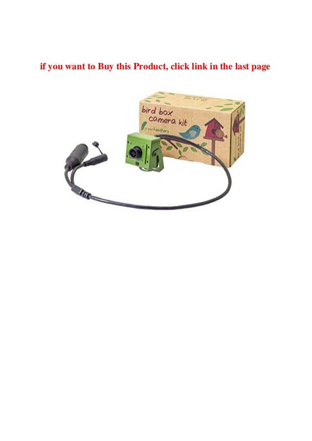 green feathers bird box camera kit