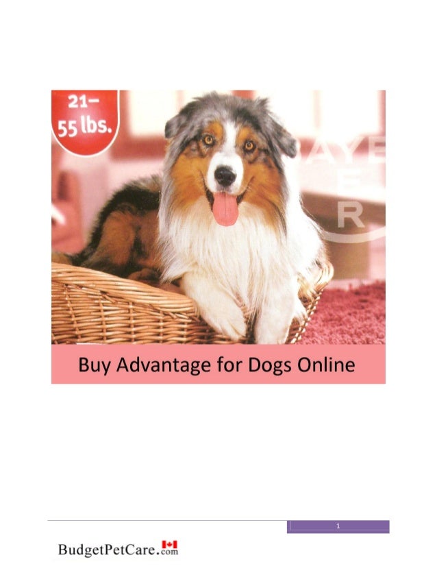 Buy pet medication online