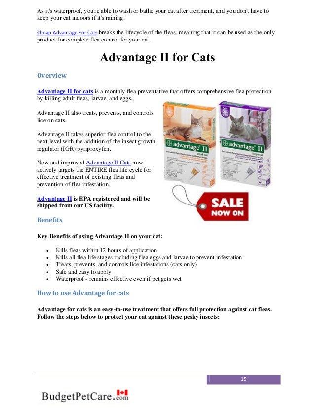 Buy pet medication online