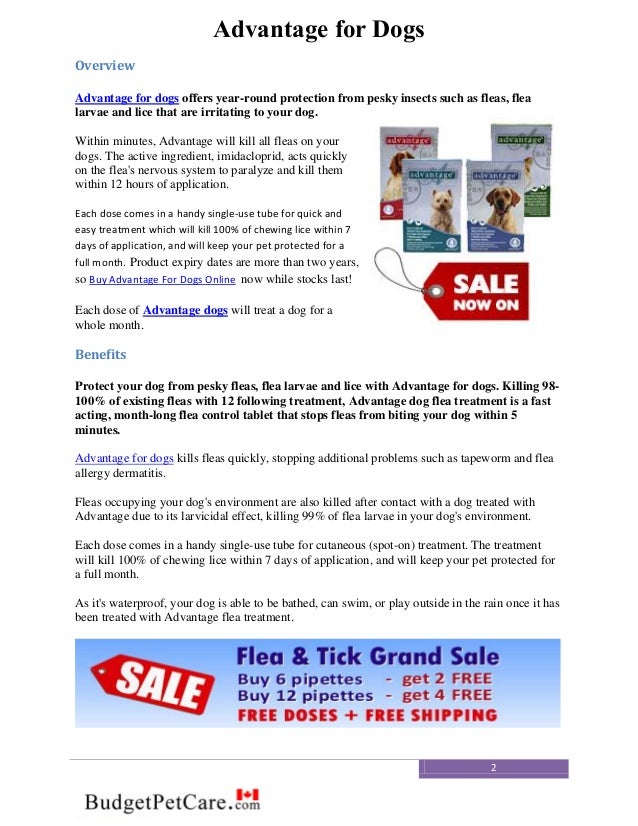 Buy pet medication online