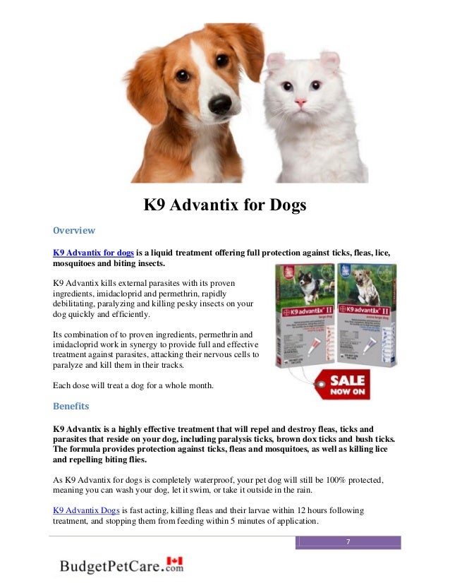 Buy pet medication online