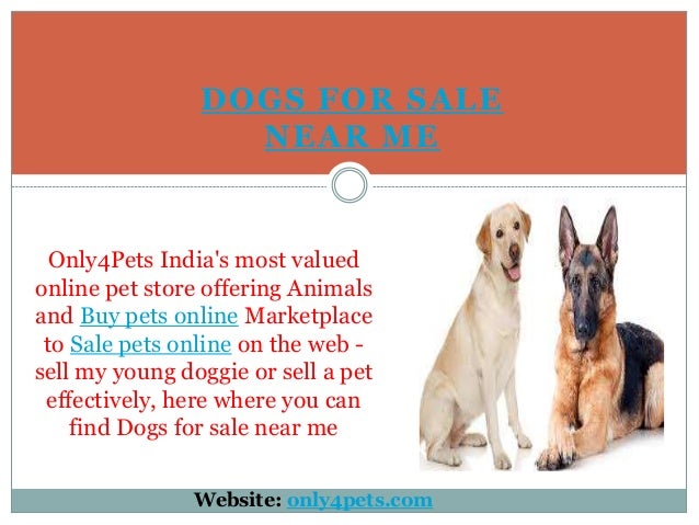 Where can i buy a pet near me Clearance