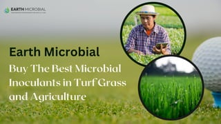 Buy The Best Microbial
Inoculants in Turf Grass
and Agriculture
Earth Microbial
 