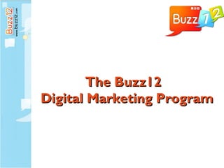 The Buzz12  Digital Marketing Program 